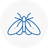 Moth Control Specialists In Whitworth